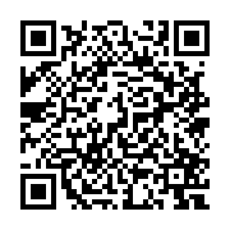 QR code for 3C11079
