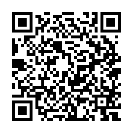 QR code for 3C12833