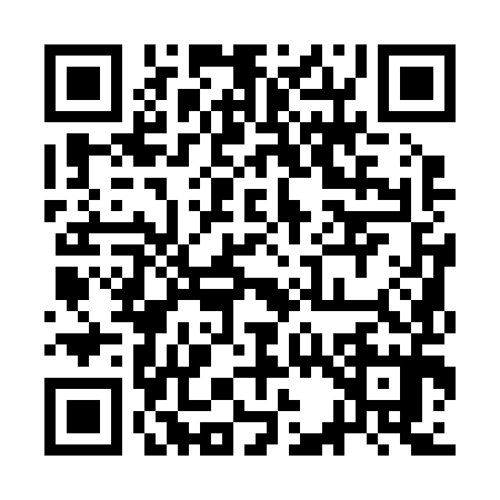 QR code for 3C1295T