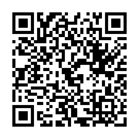 QR code for 3C1313P