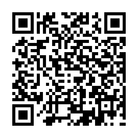 QR code for 3C17389