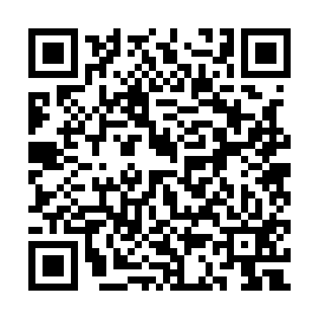 QR code for 3C2113P