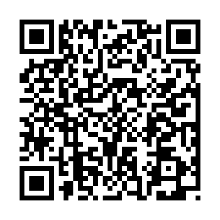 QR code for 3C29529