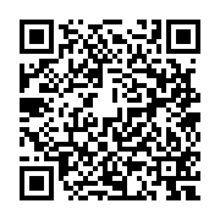 QR code for 3C3113N