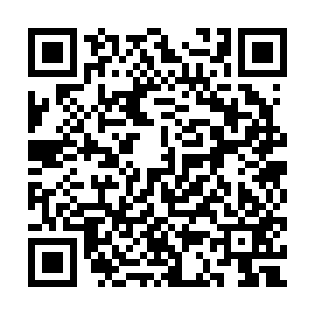 QR code for 3C3253C