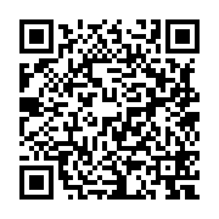 QR code for 3C3868Q