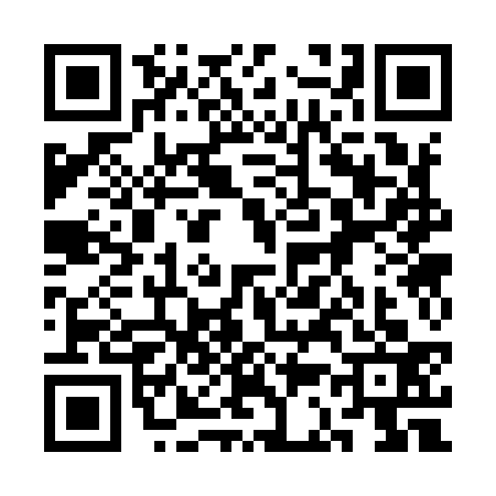 QR code for 3C39333