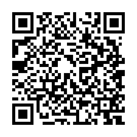 QR code for 3C46523