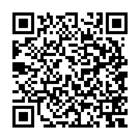 QR code for 3C46596