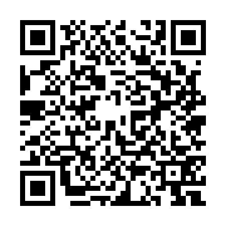 QR code for 3C51733