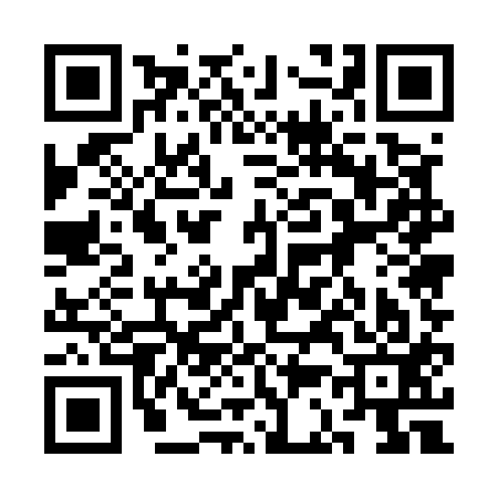 QR code for 3C5513I