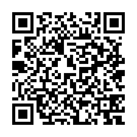 QR code for 3C55382
