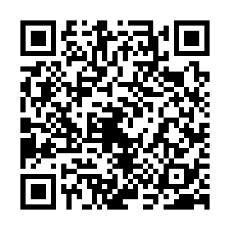 QR code for 3C63387
