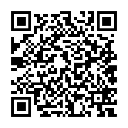 QR code for 3C6529P