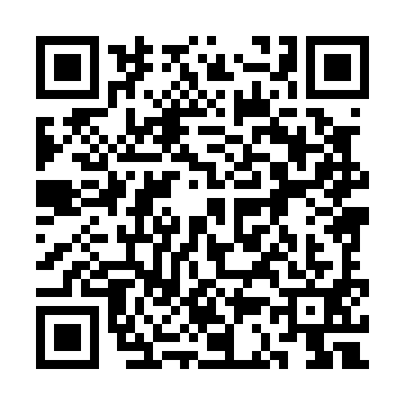 QR code for 3C80919