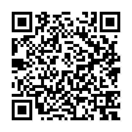 QR code for 3C81383