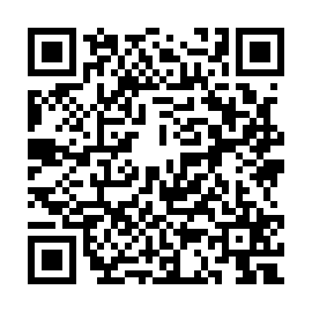 QR code for 3C91253