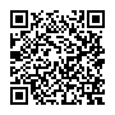QR code for 3C95017