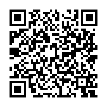 QR code for 3C95217