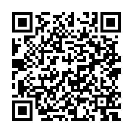 QR code for 3C95529