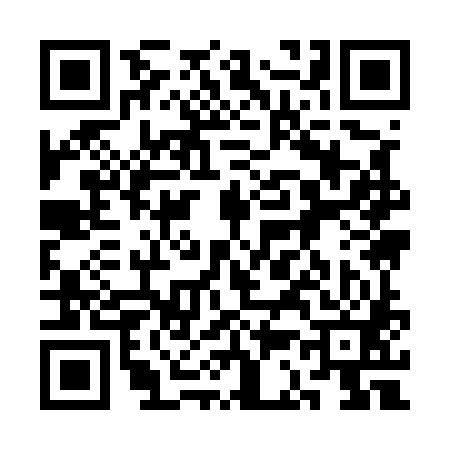 QR code for 3C9581P