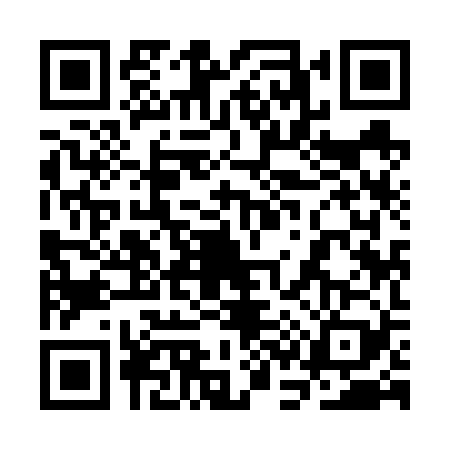 QR code for 3C96295