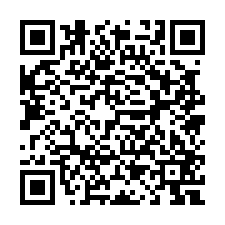 QR code for 411003H