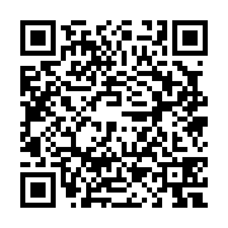 QR code for 4110382