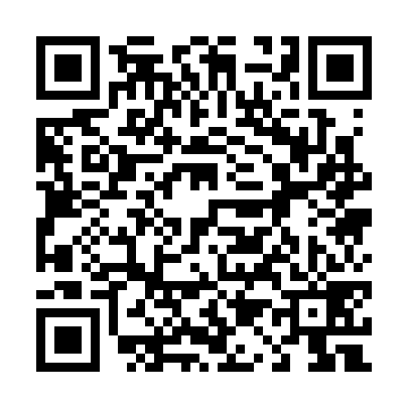 QR code for 411379U
