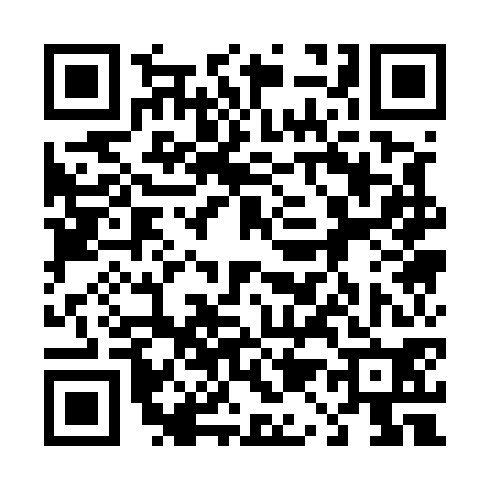 QR code for 411570Q