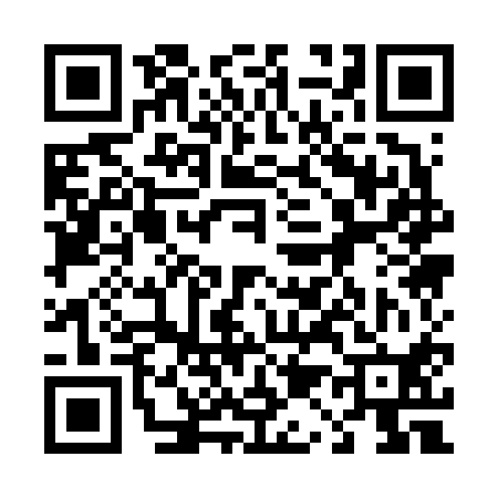 QR code for 411610T