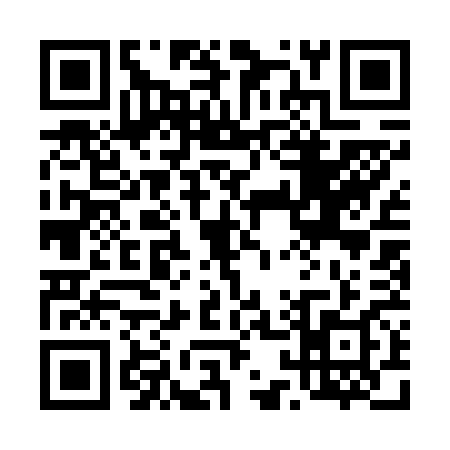QR code for 411668G