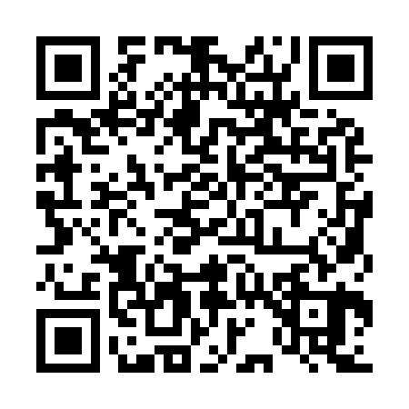 QR code for 411920Q