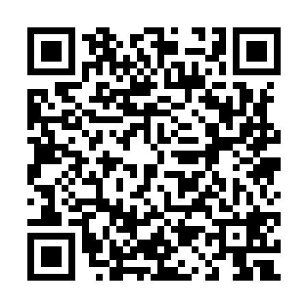 QR code for 411928W