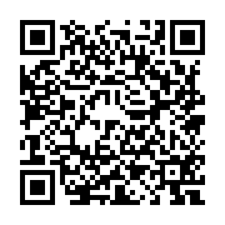 QR code for 411954S