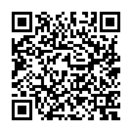 QR code for 411971D