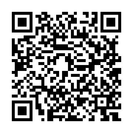 QR code for 412853F