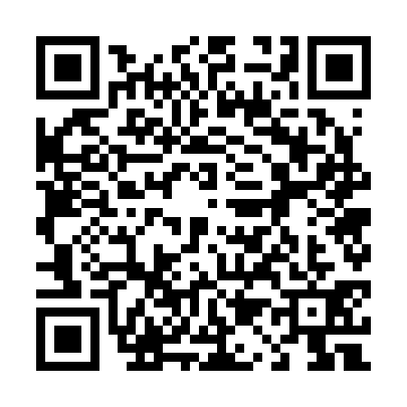 QR code for 4172311