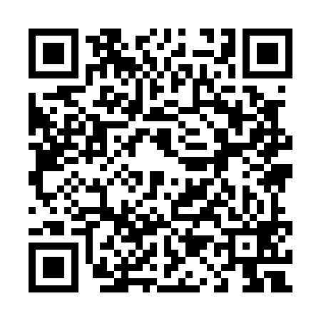 QR code for 419099Y