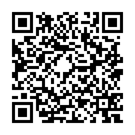 QR code for 419575P