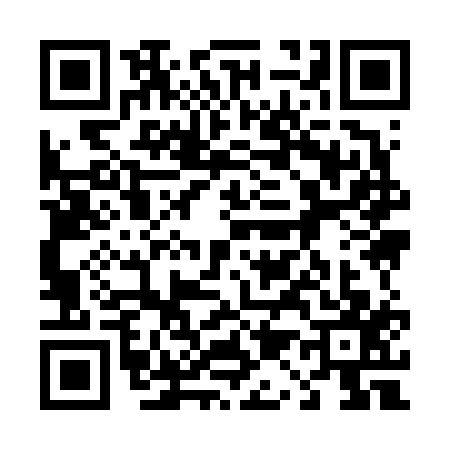 QR code for 4196174