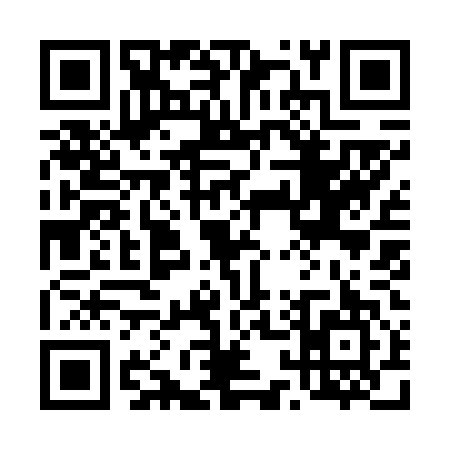 QR code for 419647K