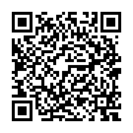 QR code for 419695Y