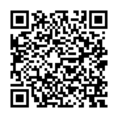 QR code for 4197411