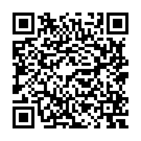 QR code for 4198457