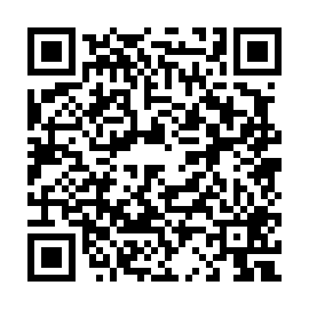 QR code for 420409P