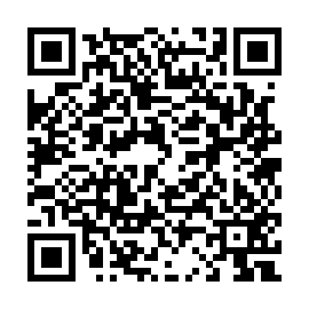 QR code for 423153G