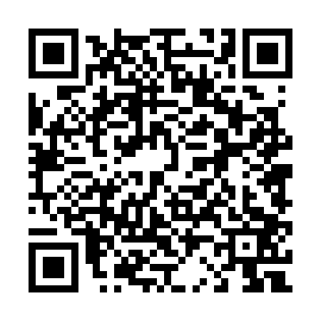 QR code for 4243038