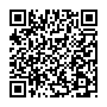 QR code for 4250554