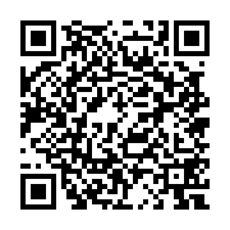 QR code for 4250588